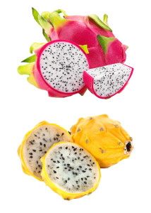 Dragon Fruit