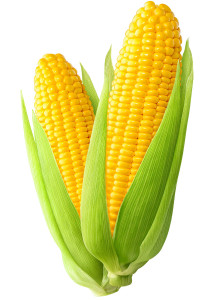 Corn