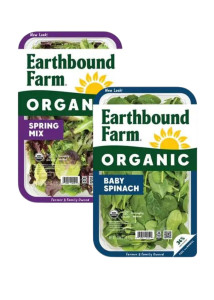 Earthbound Salad