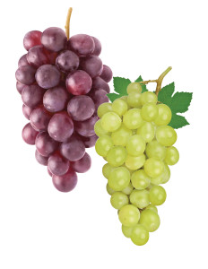 Red or Green Seedless Grapes