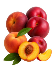 Nectarines or Peaches